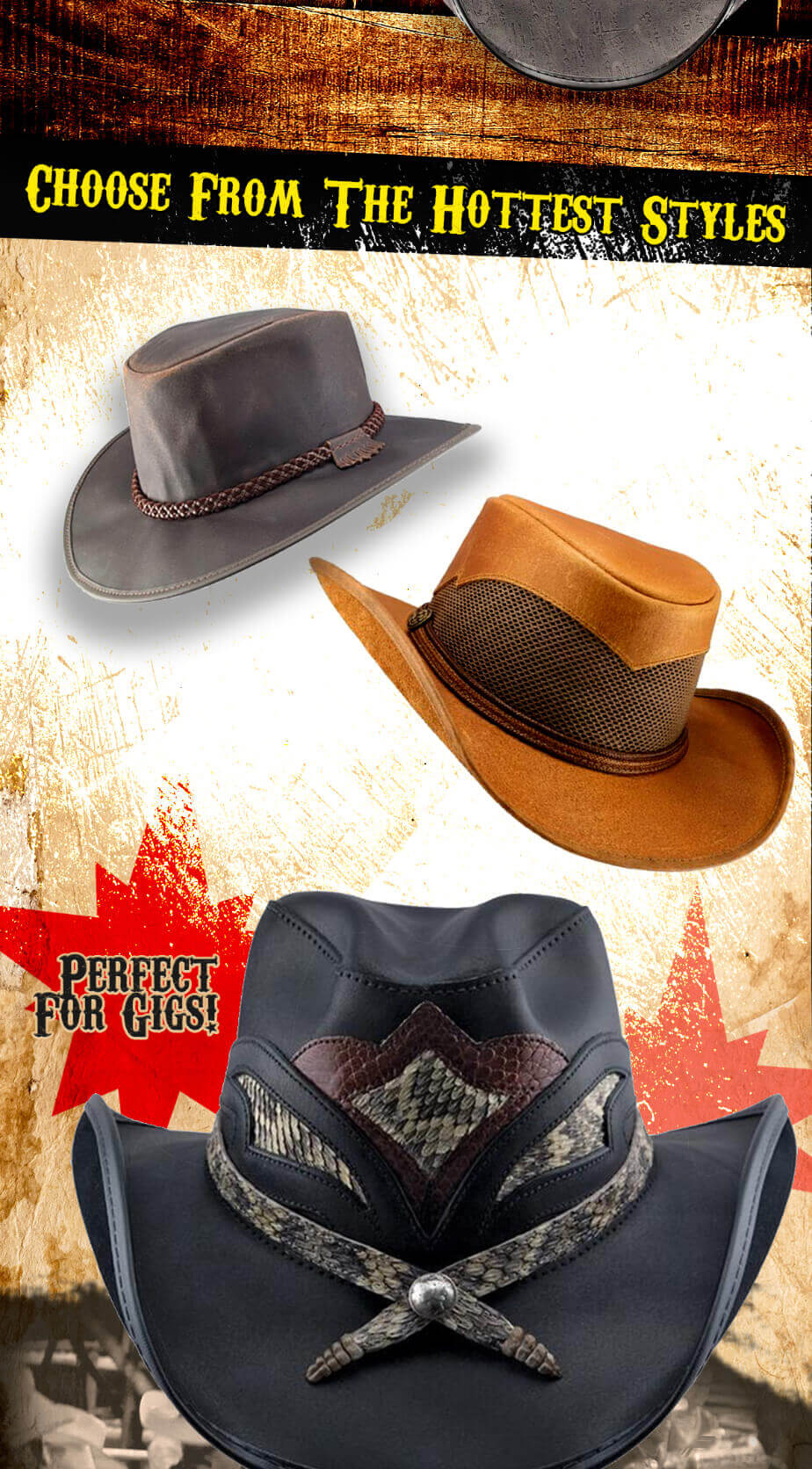 Click Here to Shop the Collection!