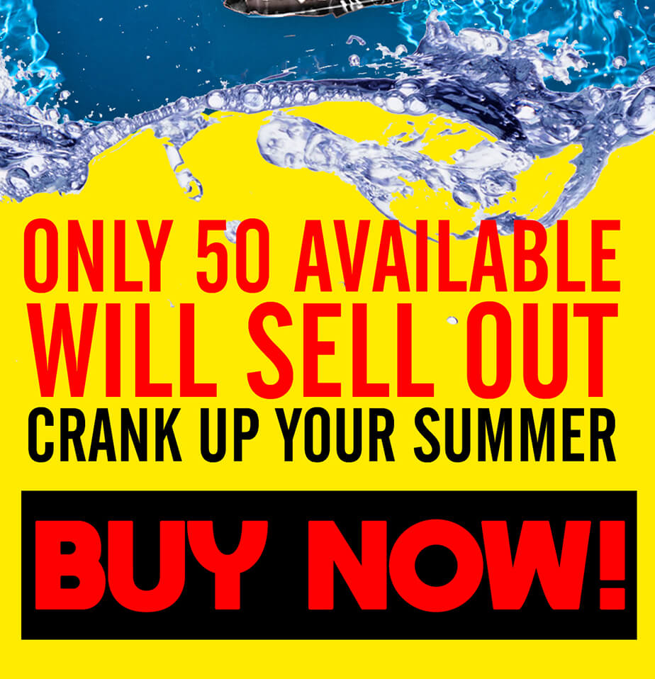 Click Here to Shop the Collection!