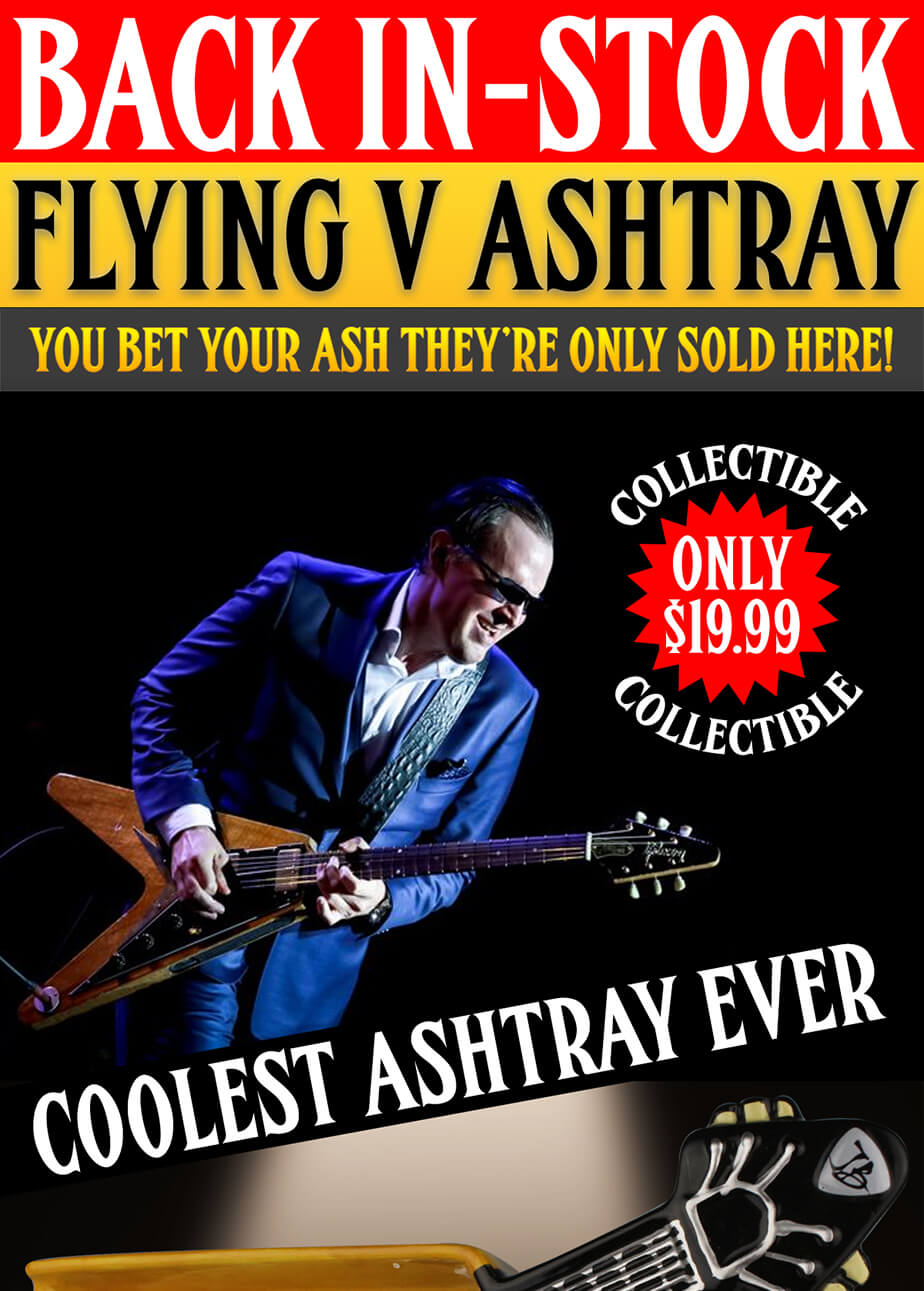 Click Here to Shop the Collection!