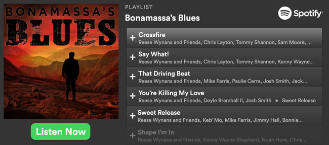 Click Here to Shop the Collection!