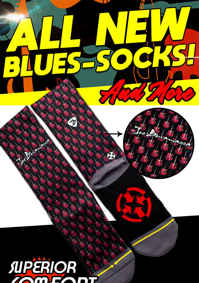 Click Here to Shop the Collection!
