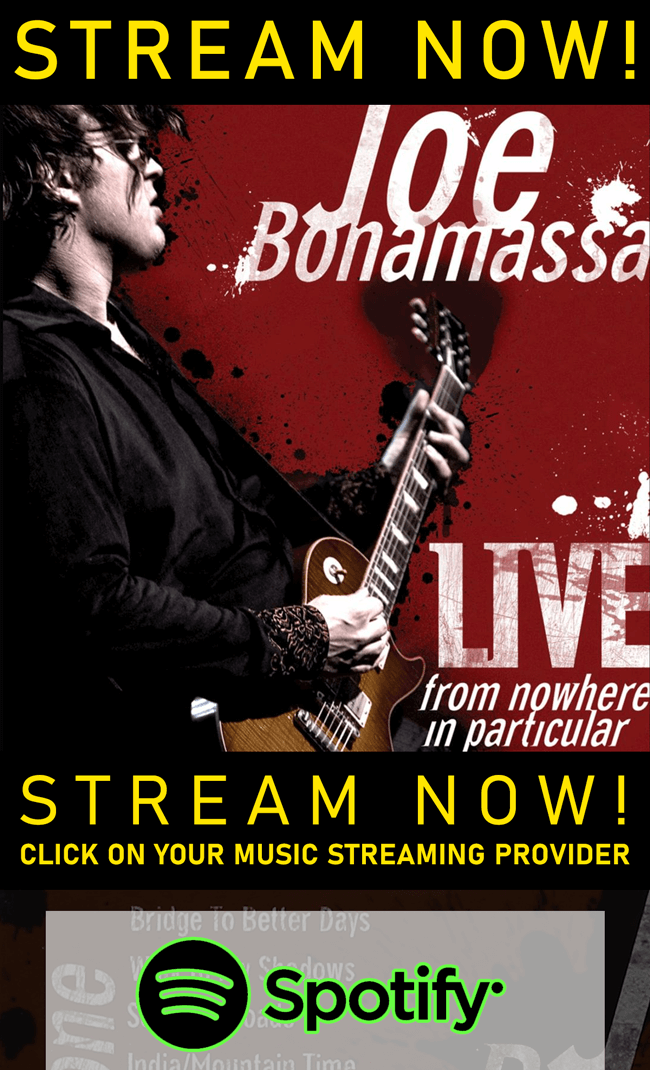 Click Here to Shop the Collection!