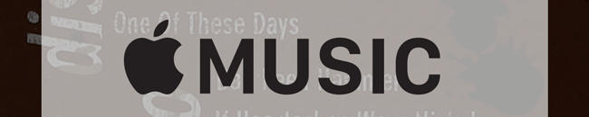 Click Here to Shop the Collection!