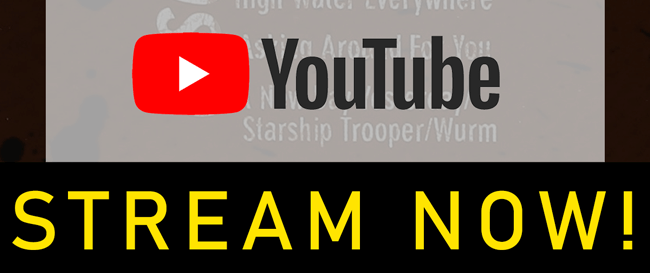 Click Here to Shop the Collection!