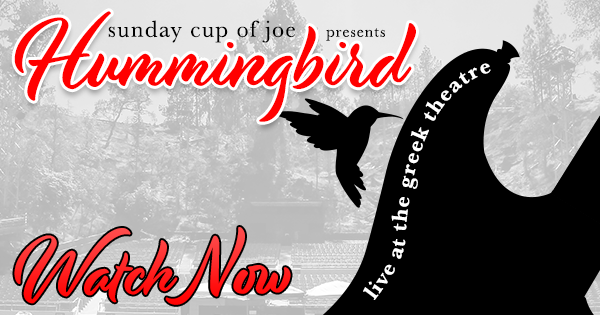 Joe Bonamassa | Sunday Cup of Joe | Hummingbird
